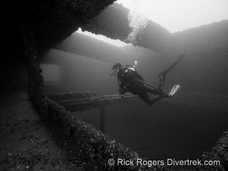 Wexford wreck, diving lake huron.
