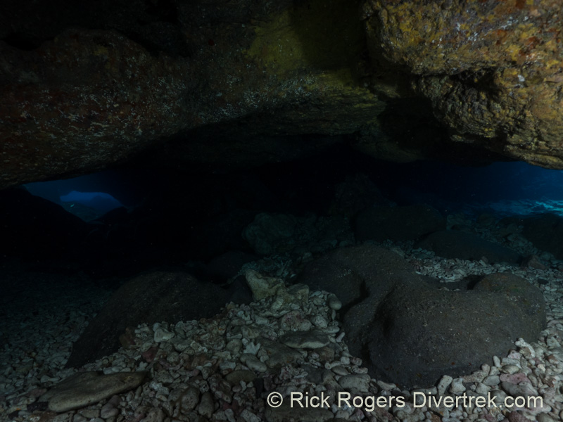 Diving Kona Coast Hawaii.