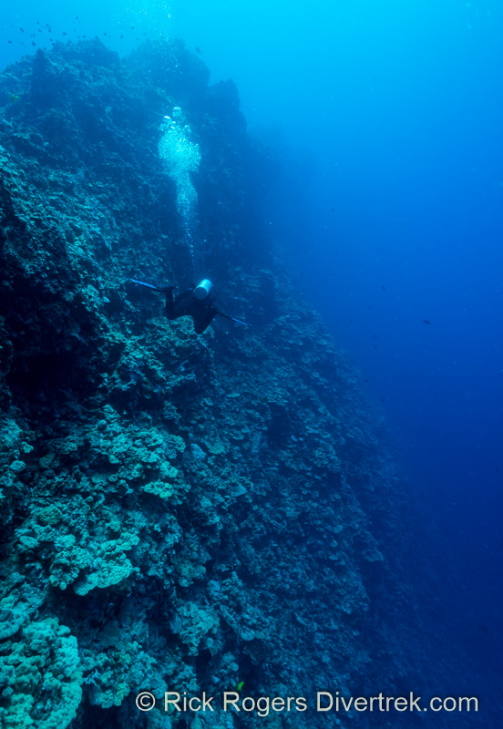 Kona Hawaii Wall Diving.