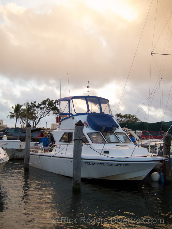 Walker's dive charters, florida.