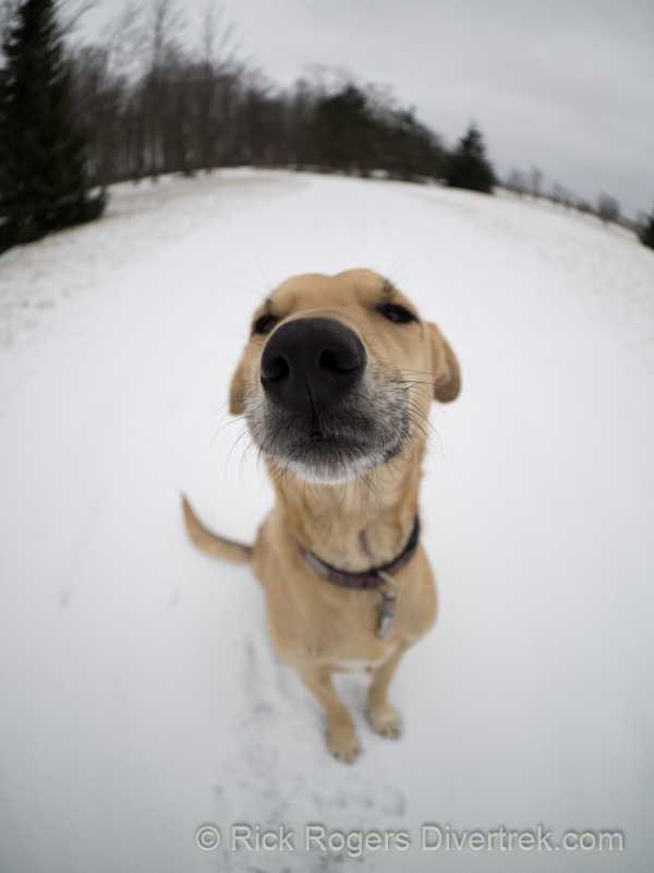 Lens vignetting, Zuiko f1.8 8mm fisheye lens.