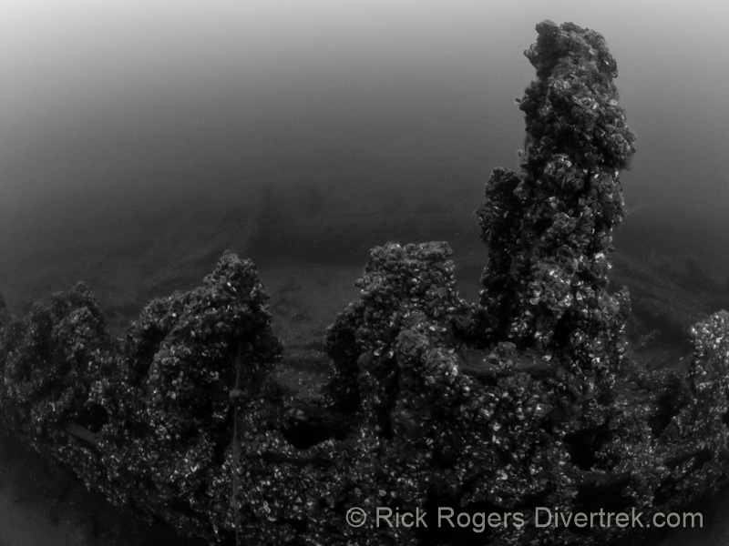 Bismarck wreck at Kingston, Ontario