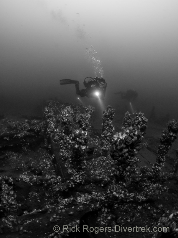 keelson on shipwreck