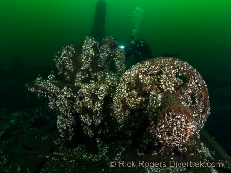 Kingston wreck diving.