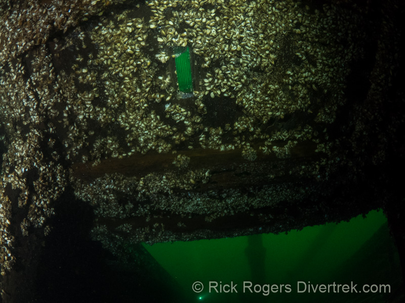 prism on City of Sheboygan wreck