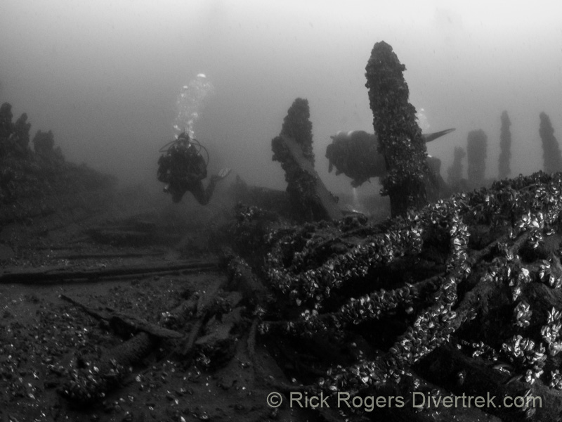 wire schooner wreck