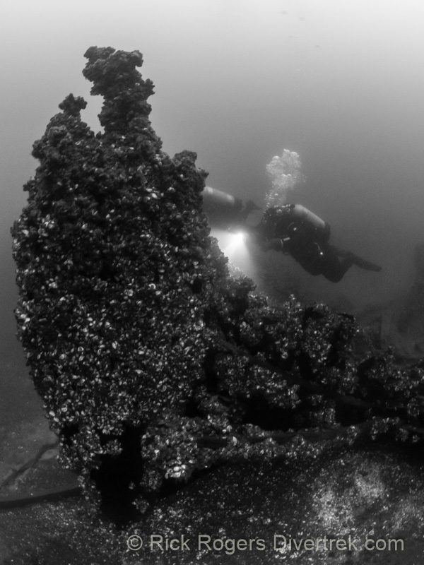 Wire schooner wreck