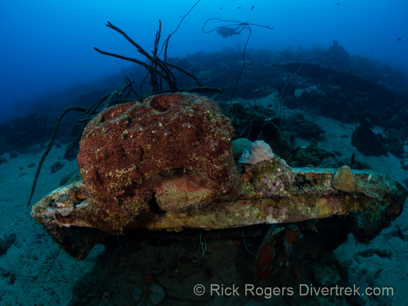 Car Pile dive site at Curacao