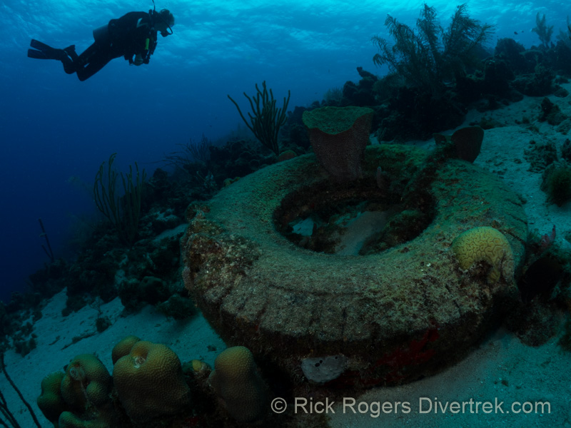 Car Pile dive site Curacao