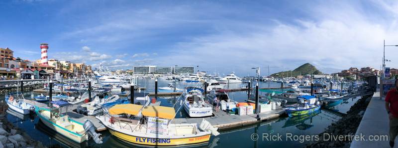Marina Cabo San Lucas