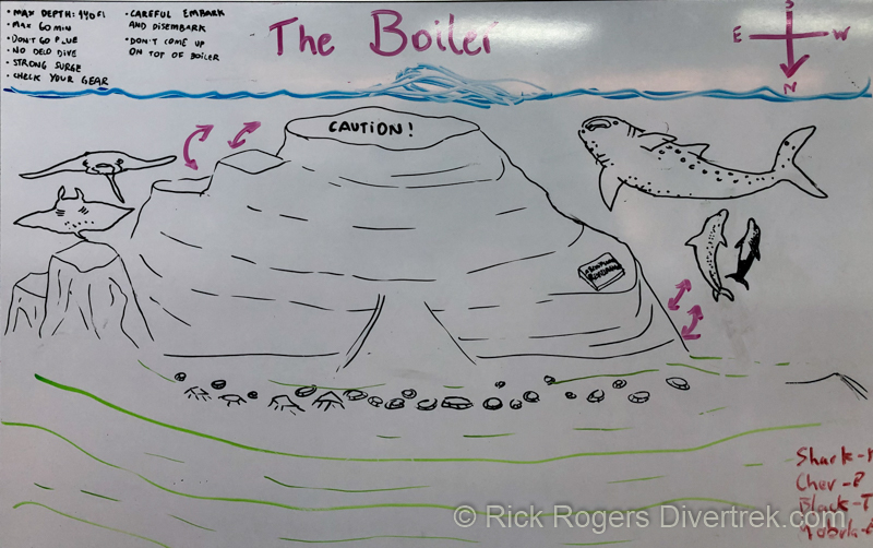The Boiler dive site map at Socorro islands