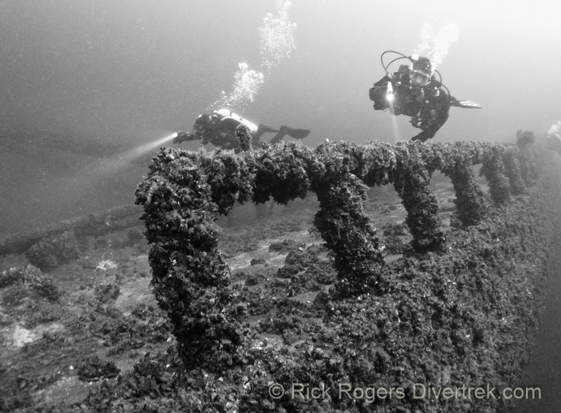Divers on the Tiller wreck, lake ontario.