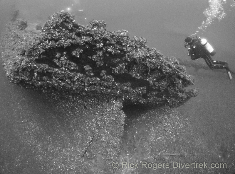 stern of the Tiller wreck.