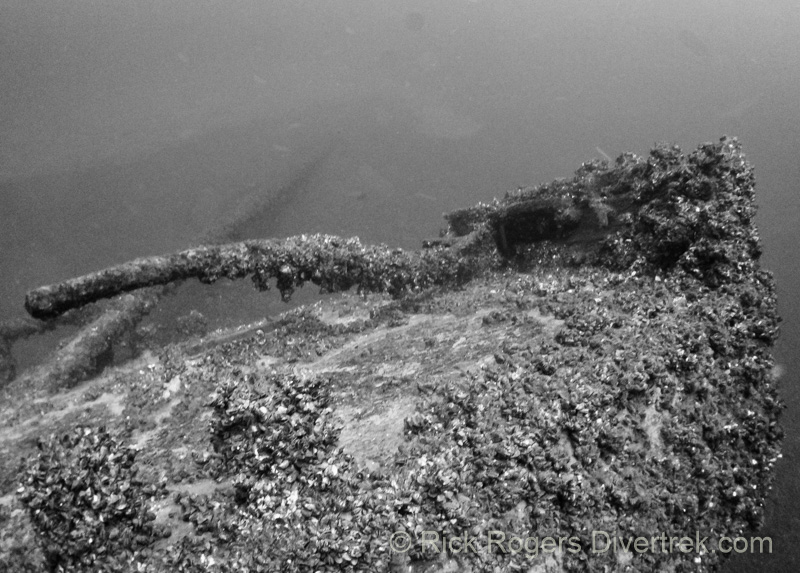 tiller of the Tiller wreck in Lake Ontario