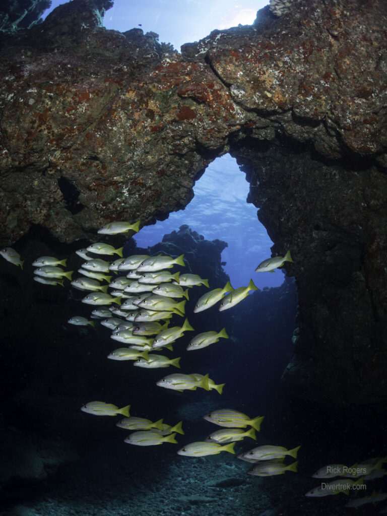 Arch at Sheraton Caverns dive site in Kauai.